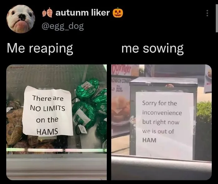 A funny meme showing signs about ham availability: one says 'NO LIMITS on the HAMS' and the other 'out of HAM.'