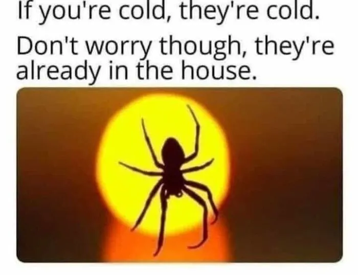 A meme of a spider silhouetted against a yellow circle, with the text If you're cold, they're cold. Don't worry though, they're already in the house.