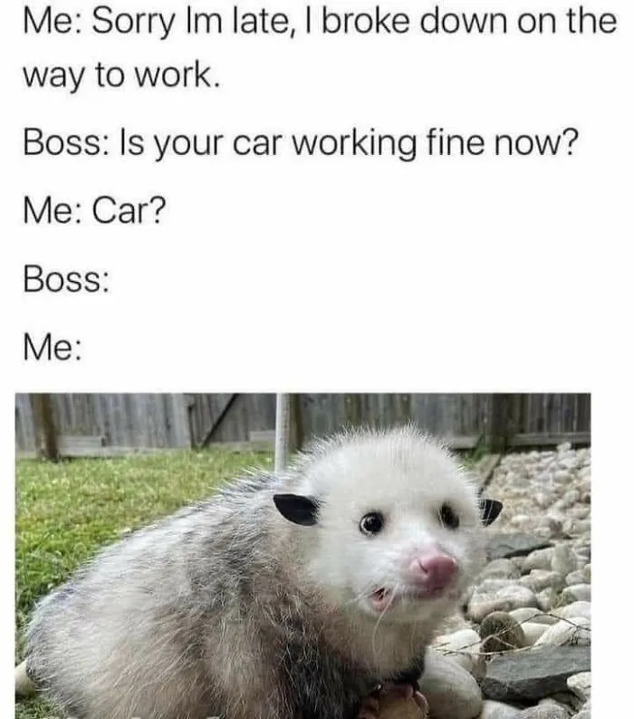 A meme featuring a sad-looking opossum, illustrating an excuse for being late to work.