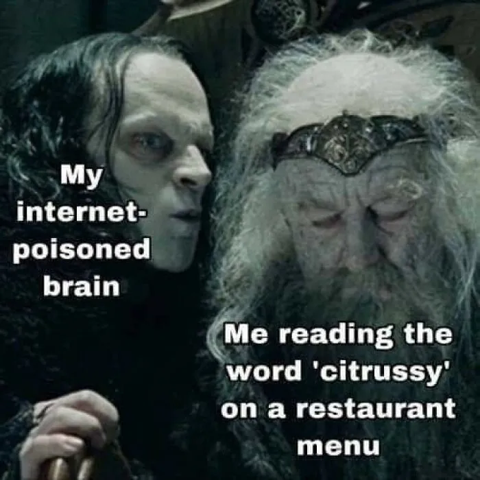 A meme depicting two characters from Lord of the Rings, representing an internet-poisoned brain.