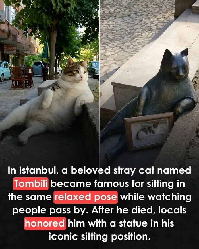This Page Shared 26 Heartwarming Animal Moments From Around The World (New Pics)