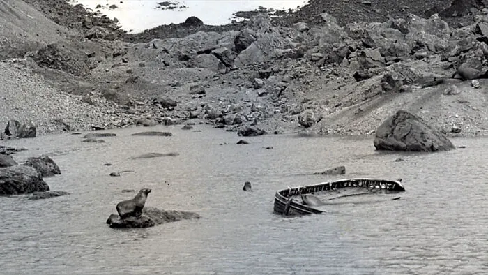 30 Strange Cases That Had Everyone Guessing Wrong Until The Truth Finally Clicked