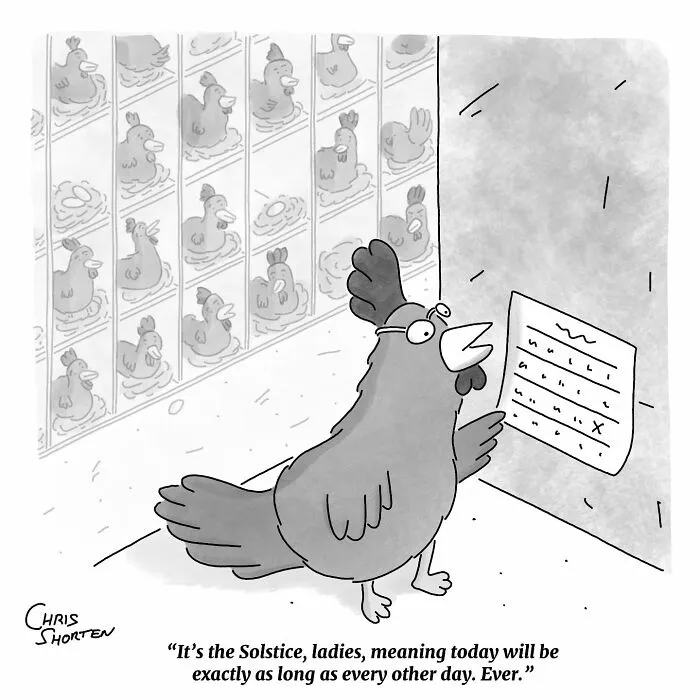 If You Enjoy Smart, Unpredictable Humor, These 41 Chris Shorten Cartoons Might Be Worth Your Time