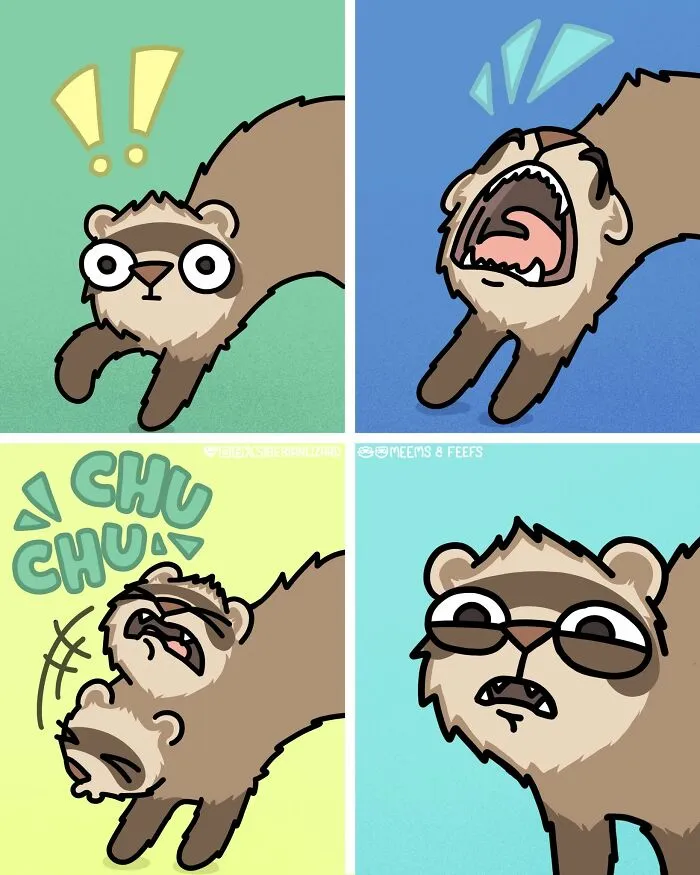 Artist Shares 57 New Comics About Ferrets, Pets, And Everyday Absurdities