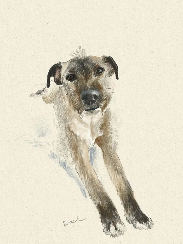 This Artist Turns Beloved Dogs Into Soft, Nostalgic-Looking Portraits (76 Pics)