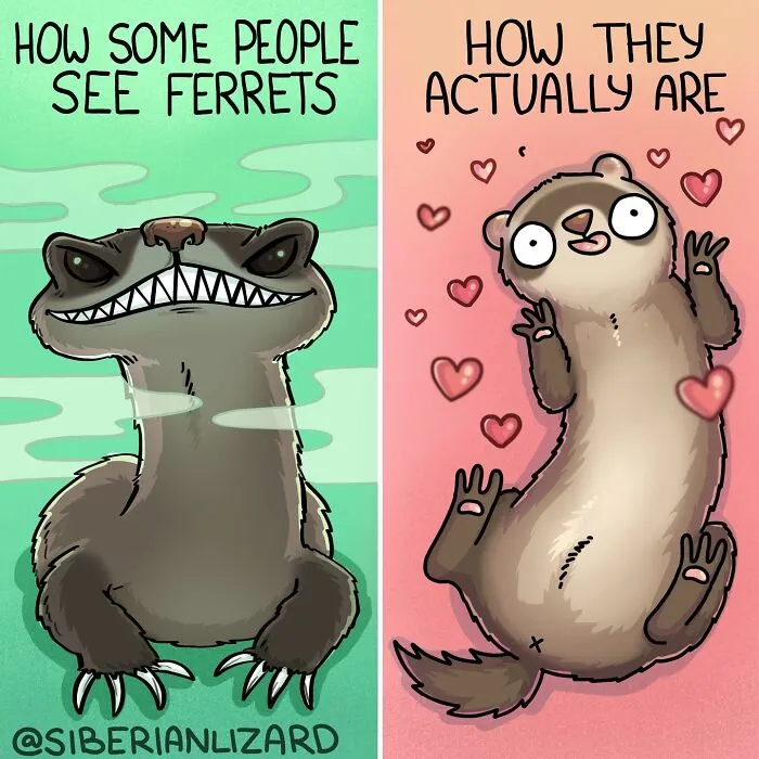 Artist Shares 57 New Comics About Ferrets, Pets, And Everyday Absurdities