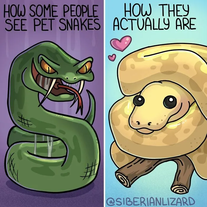 Artist Shares 57 New Comics About Ferrets, Pets, And Everyday Absurdities