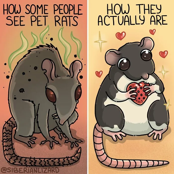 Artist Shares 57 New Comics About Ferrets, Pets, And Everyday Absurdities