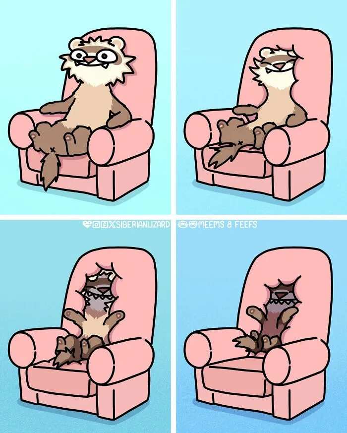 Artist Shares 57 New Comics About Ferrets, Pets, And Everyday Absurdities