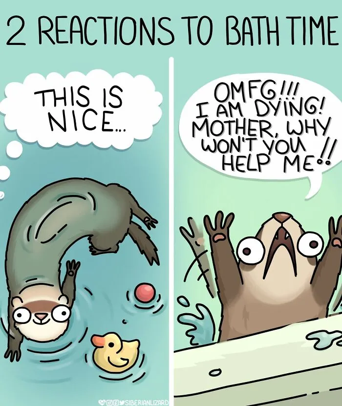 Artist Shares 57 New Comics About Ferrets, Pets, And Everyday Absurdities