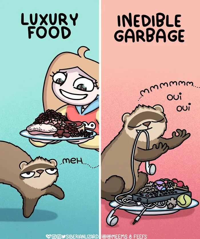 Artist Shares 57 New Comics About Ferrets, Pets, And Everyday Absurdities