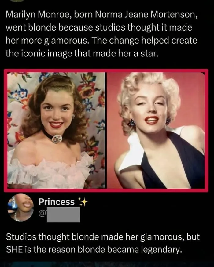 97 “Epic Top Comments” That Are Way More Entertaining Than The Posts They’re On