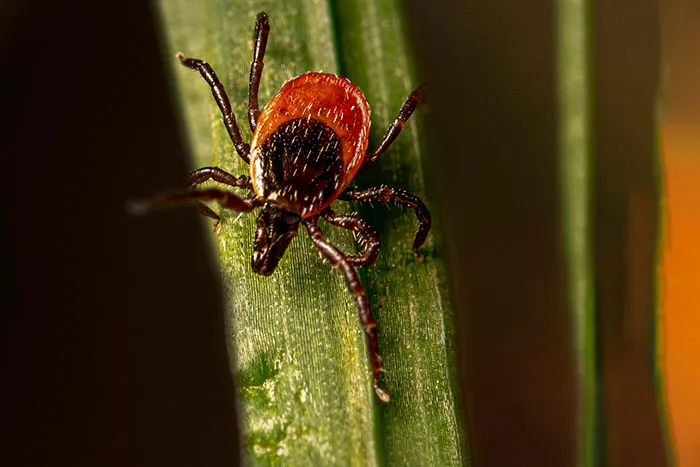 43 Of The Scariest Things To Exist In This World