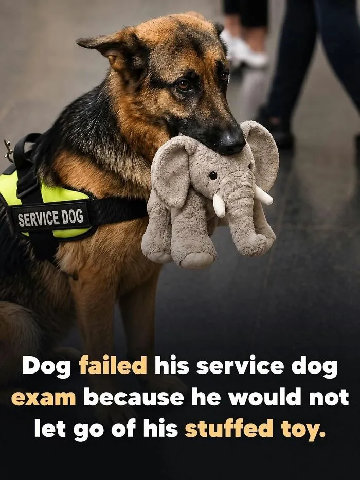 This Page Shared 26 Heartwarming Animal Moments From Around The World (New Pics)