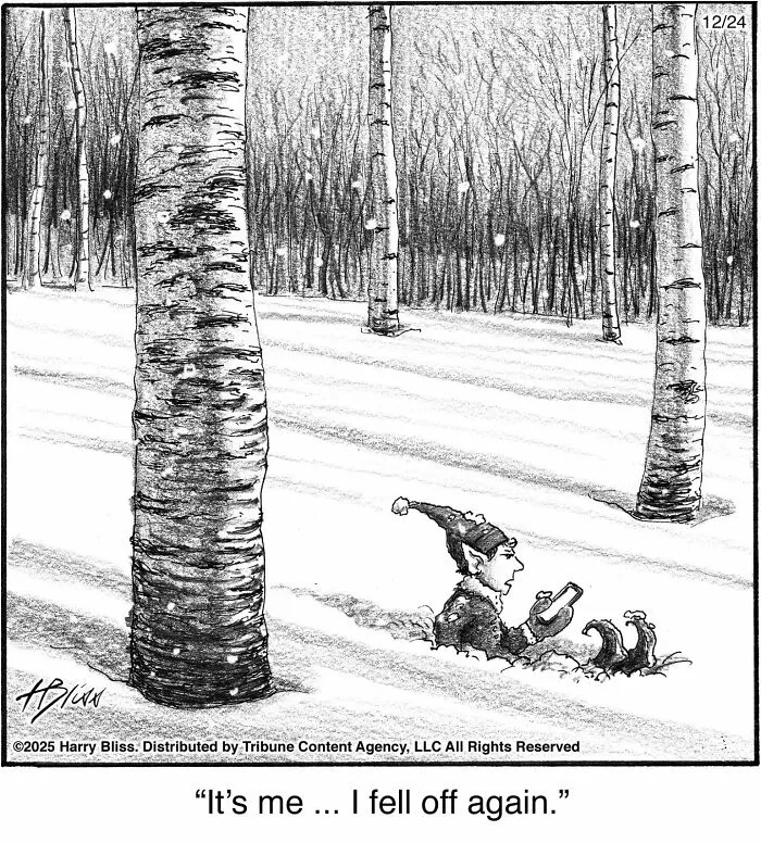 40 Wholesome One-Panel Comics By New Yorker Magazine Cartoonist Harry Bliss (New Pics)