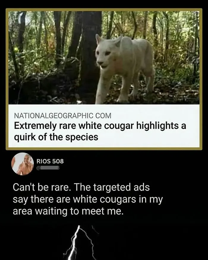 97 “Epic Top Comments” That Are Way More Entertaining Than The Posts They’re On