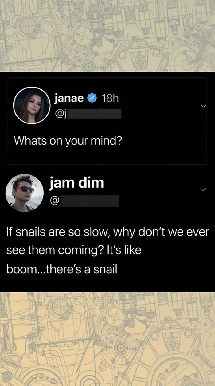 A humorous exchange about snails being slow, but hard to see coming, illustrating funny comments.