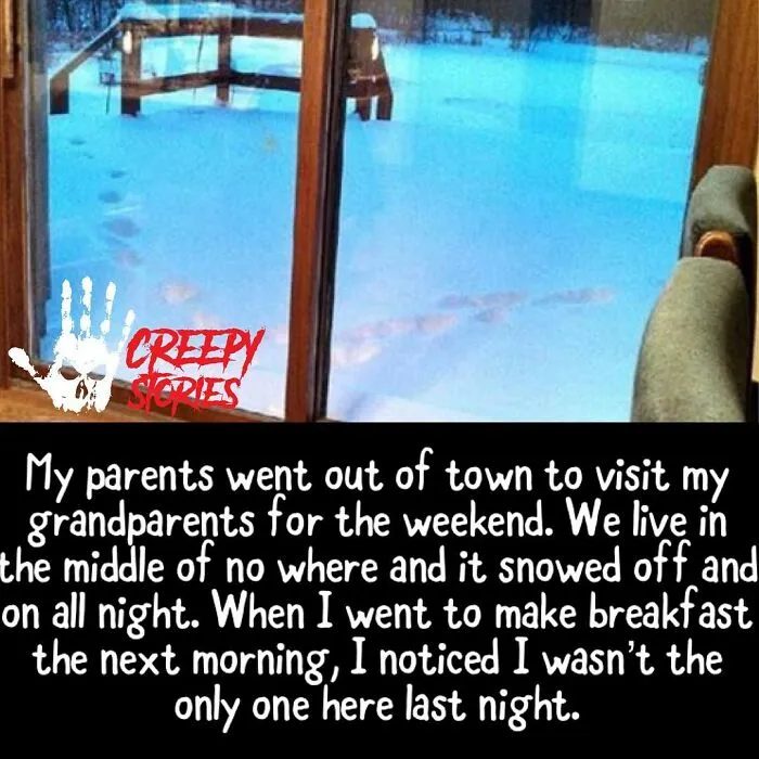Snowy backyard with mysterious footprints and creepy stories text