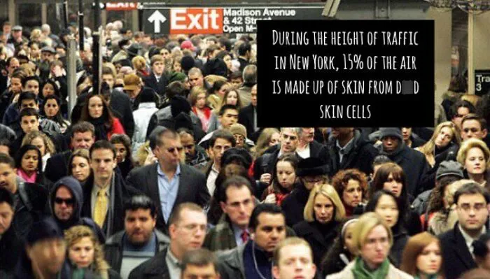 A crowded New York street with text about terrifying facts and horror stories of dead skin cells.