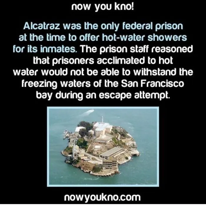 75 Creepy Facts And Horror Stories People Wish They Never Learned