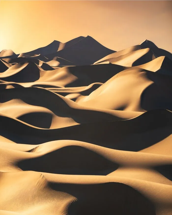 “Dunes” By Marcin Zajac