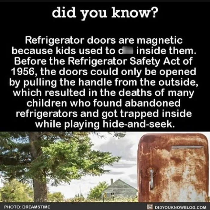 75 Creepy Facts And Horror Stories People Wish They Never Learned