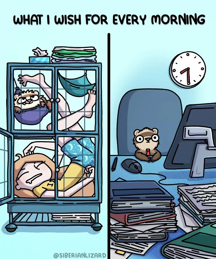 Artist Shares 57 New Comics About Ferrets, Pets, And Everyday Absurdities