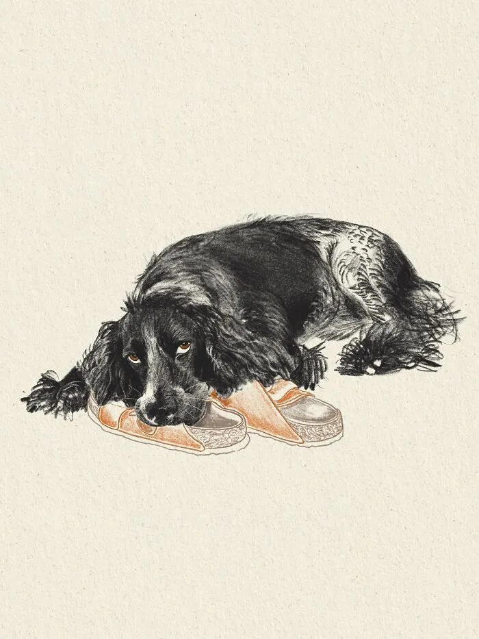 This Artist Turns Beloved Dogs Into Soft, Nostalgic-Looking Portraits (76 Pics)