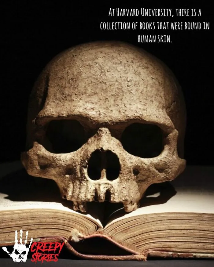 75 Creepy Facts And Horror Stories People Wish They Never Learned