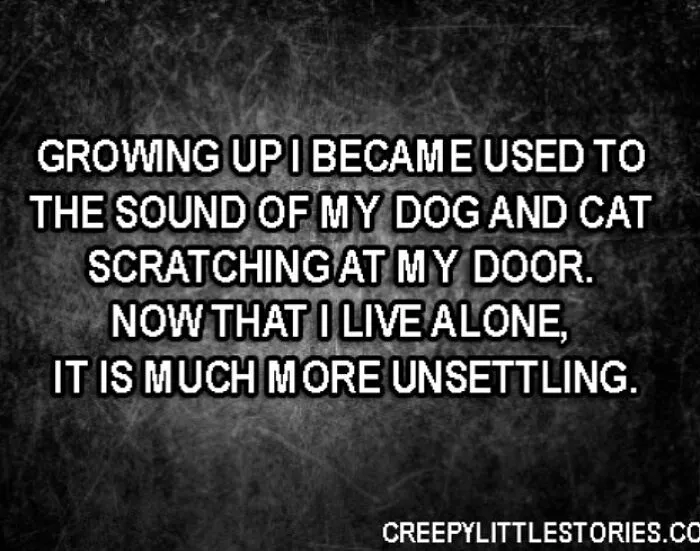 A terrifying fact: the unsettling sound of scratching at the door when living alone, a horror story that keeps people awake.