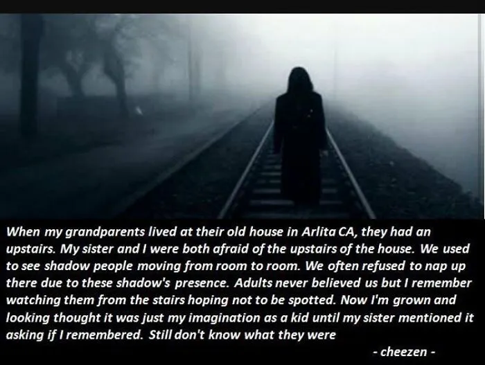 A lone figure walking on misty train tracks, with text detailing a chilling shadow people encounter. Terrifying facts, horror stories.