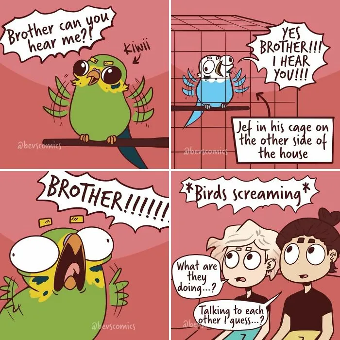 "I Want People To Feel More Understood": 30 New Relatable Comics By Krysten Bevilaqua