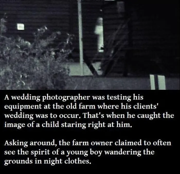 75 Creepy Facts And Horror Stories People Wish They Never Learned