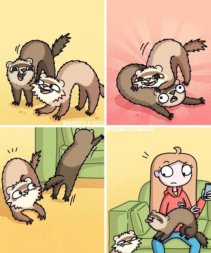 Artist Shares 57 New Comics About Ferrets, Pets, And Everyday Absurdities