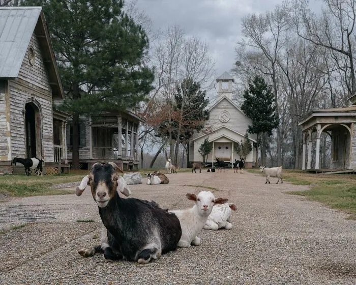 55 Eerie Photos Of Abandoned Places And Forgotten Corners Of America By Brendon Burton