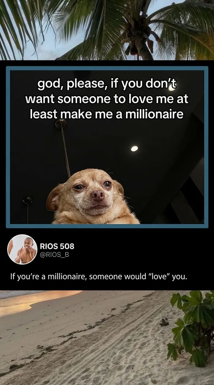 A social media post featuring a great comment from a Chihuahua meme, making the original posts funnier.