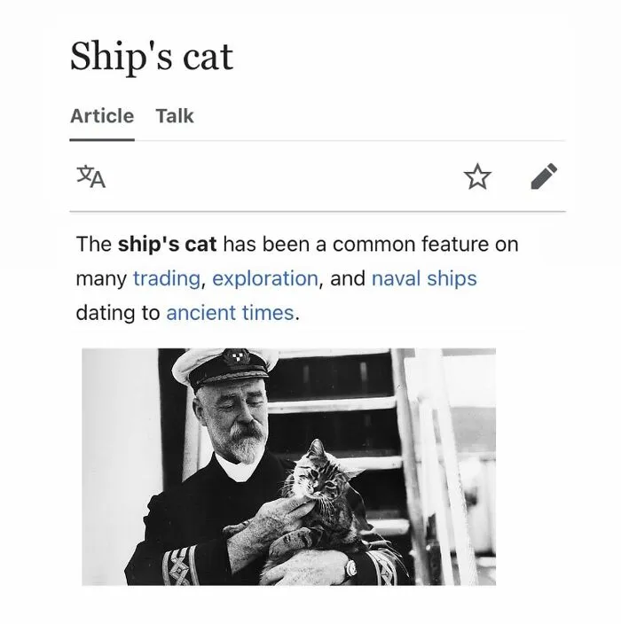 Wikipedia ship's cat article with historic naval cat photo