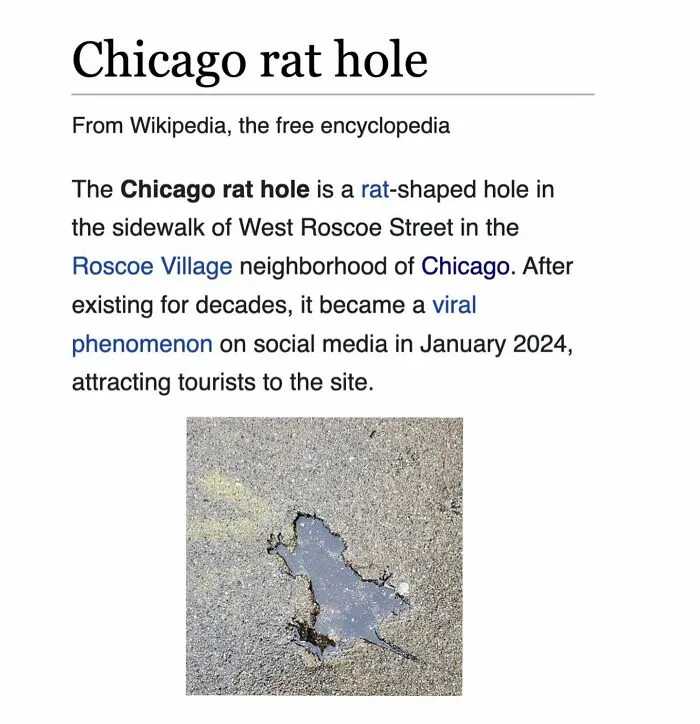 Chicago rat hole sidewalk rat-shaped hole viral phenomenon