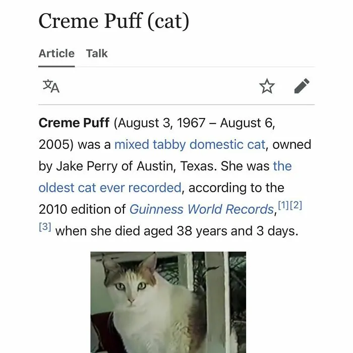 Creme Puff, the oldest recorded mixed tabby domestic cat
