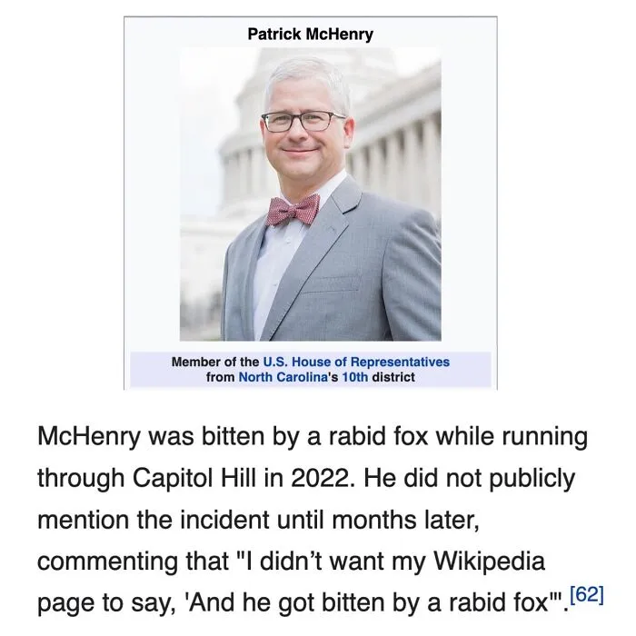 Wikipedia Has More Than 40 Million Entries But These 82 Are Weirder Than The Others