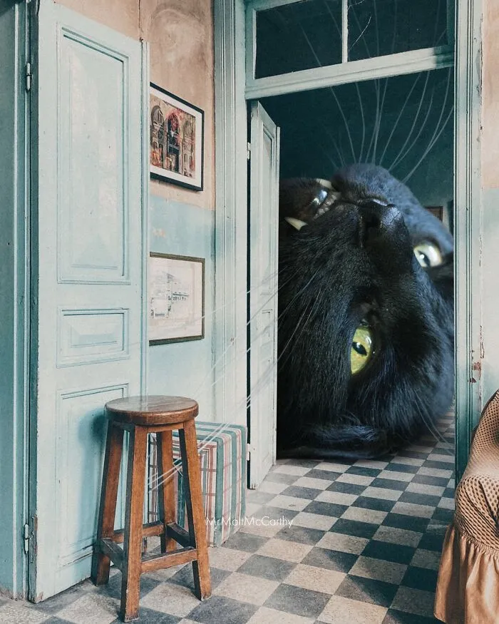 This Artist Continues His Giant-Cat Takeover With 30 New Surreal Digital Collages