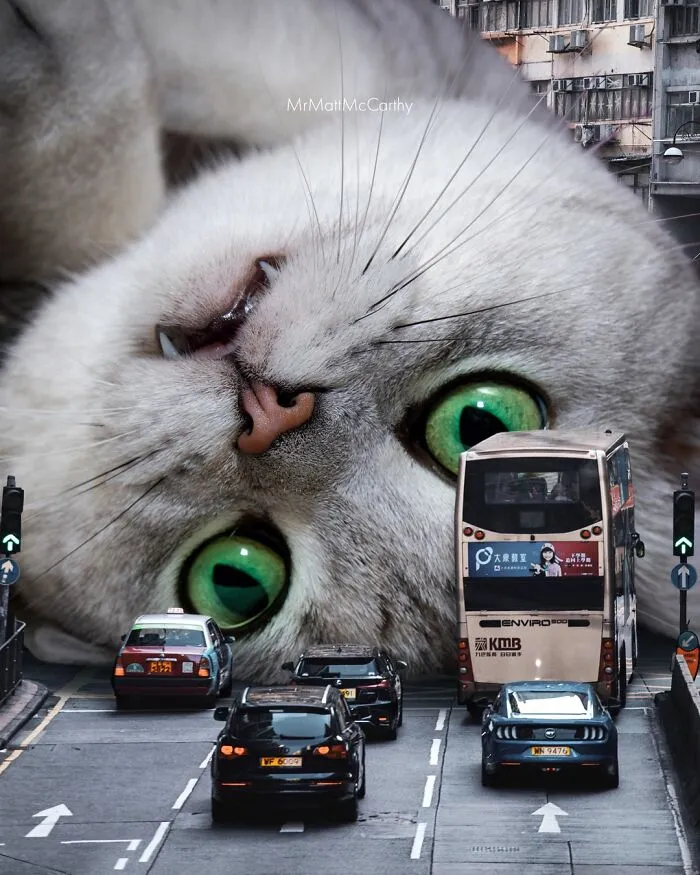 This Artist Continues His Giant-Cat Takeover With 30 New Surreal Digital Collages