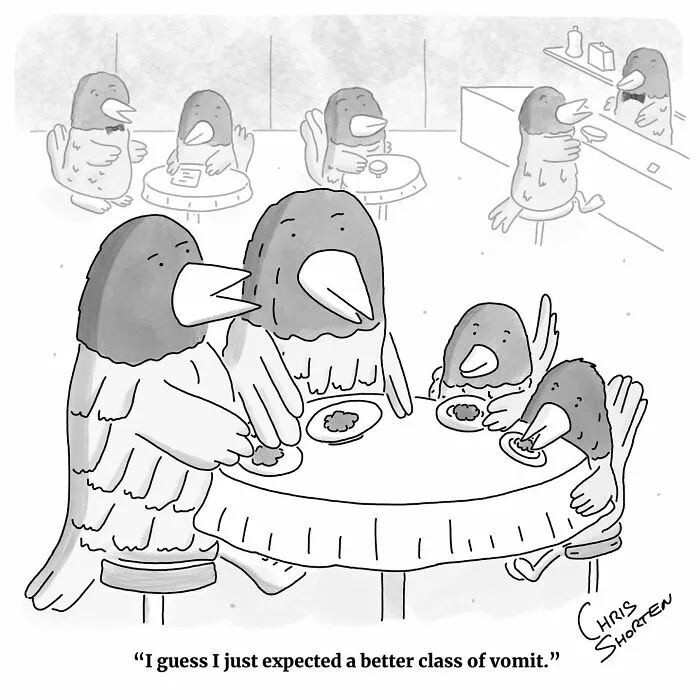 If You Enjoy Smart, Unpredictable Humor, These 41 Chris Shorten Cartoons Might Be Worth Your Time