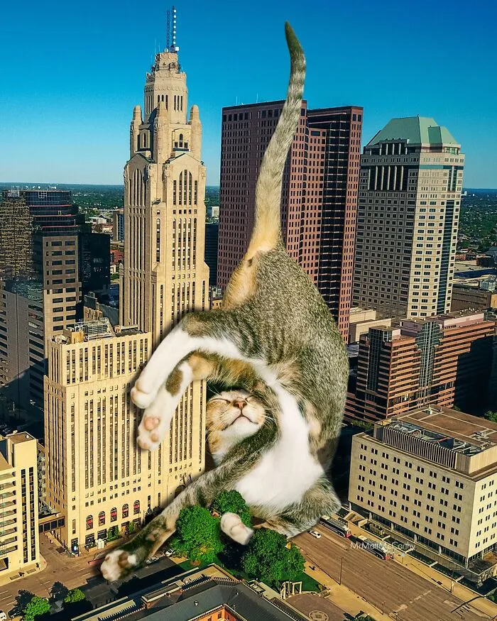 This Artist Continues His Giant-Cat Takeover With 30 New Surreal Digital Collages