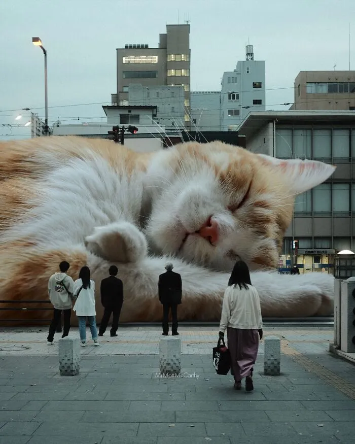 This Artist Continues His Giant-Cat Takeover With 30 New Surreal Digital Collages