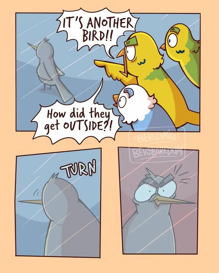 Relatable comics by Krysten Bevilaqua: A bird looking in a window at its reflection, believing it is another bird.