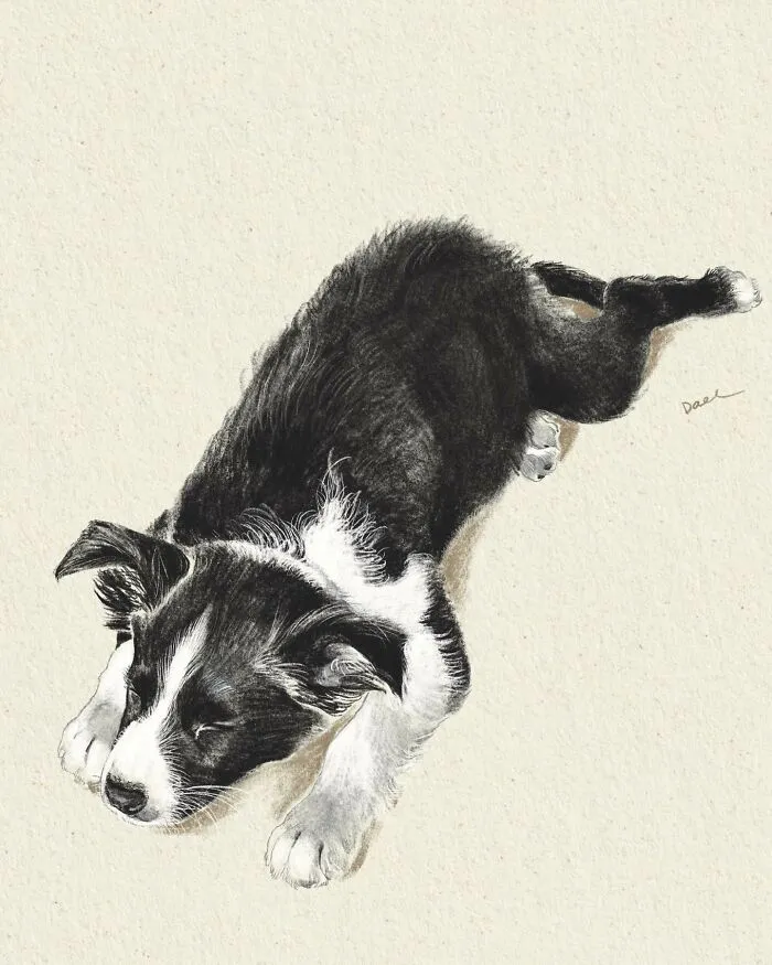 This Artist Turns Beloved Dogs Into Soft, Nostalgic-Looking Portraits (76 Pics)