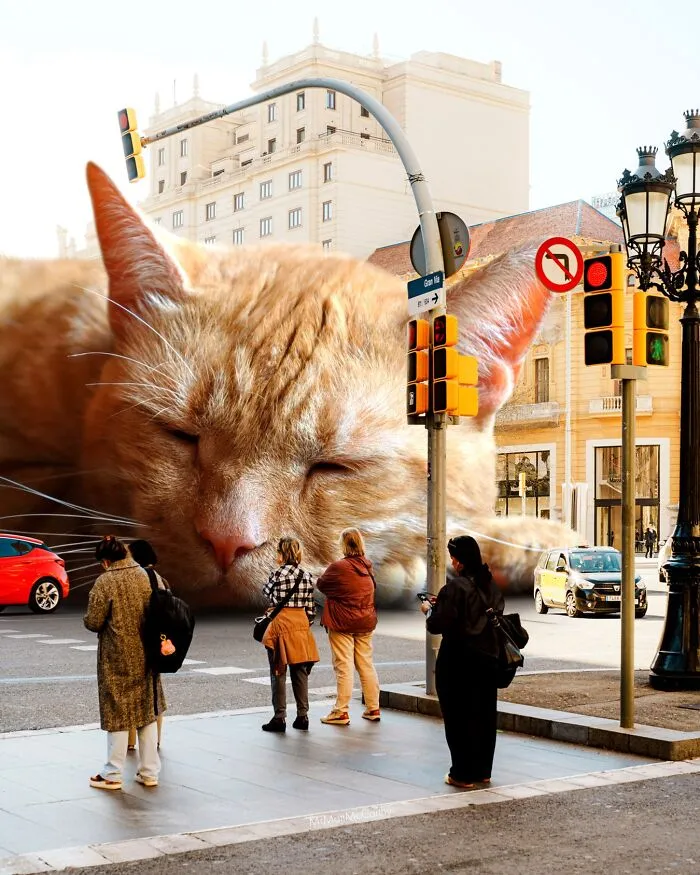 This Artist Continues His Giant-Cat Takeover With 30 New Surreal Digital Collages
