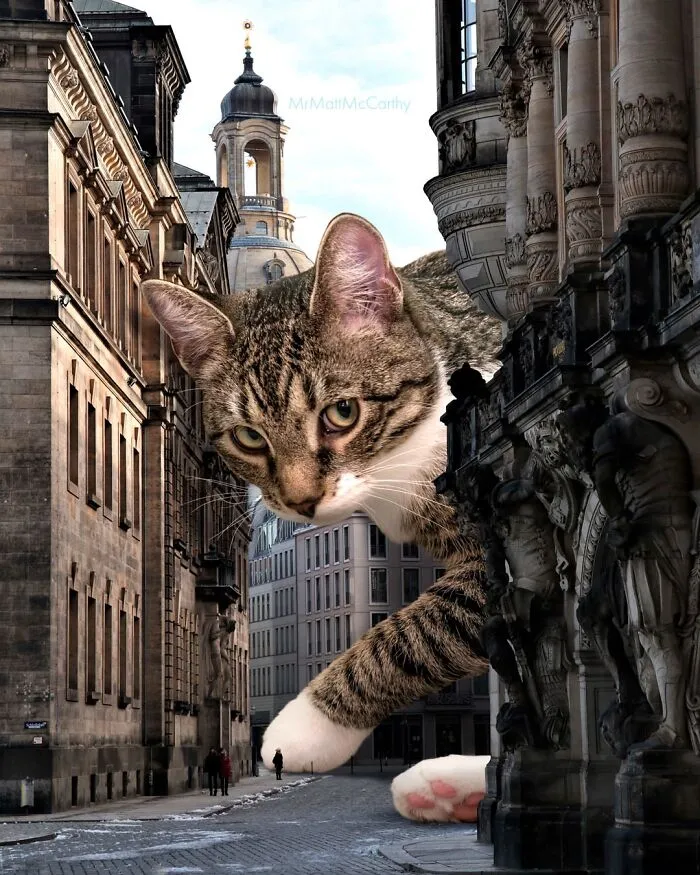 This Artist Continues His Giant-Cat Takeover With 30 New Surreal Digital Collages