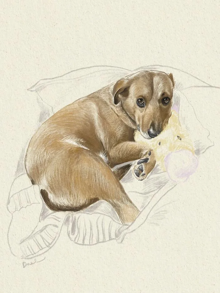This Artist Turns Beloved Dogs Into Soft, Nostalgic-Looking Portraits (76 Pics)